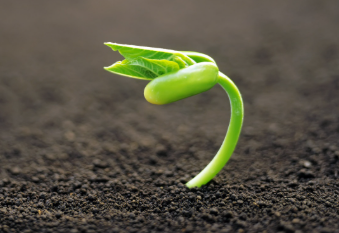 Les coses que perdem per no saber esperar