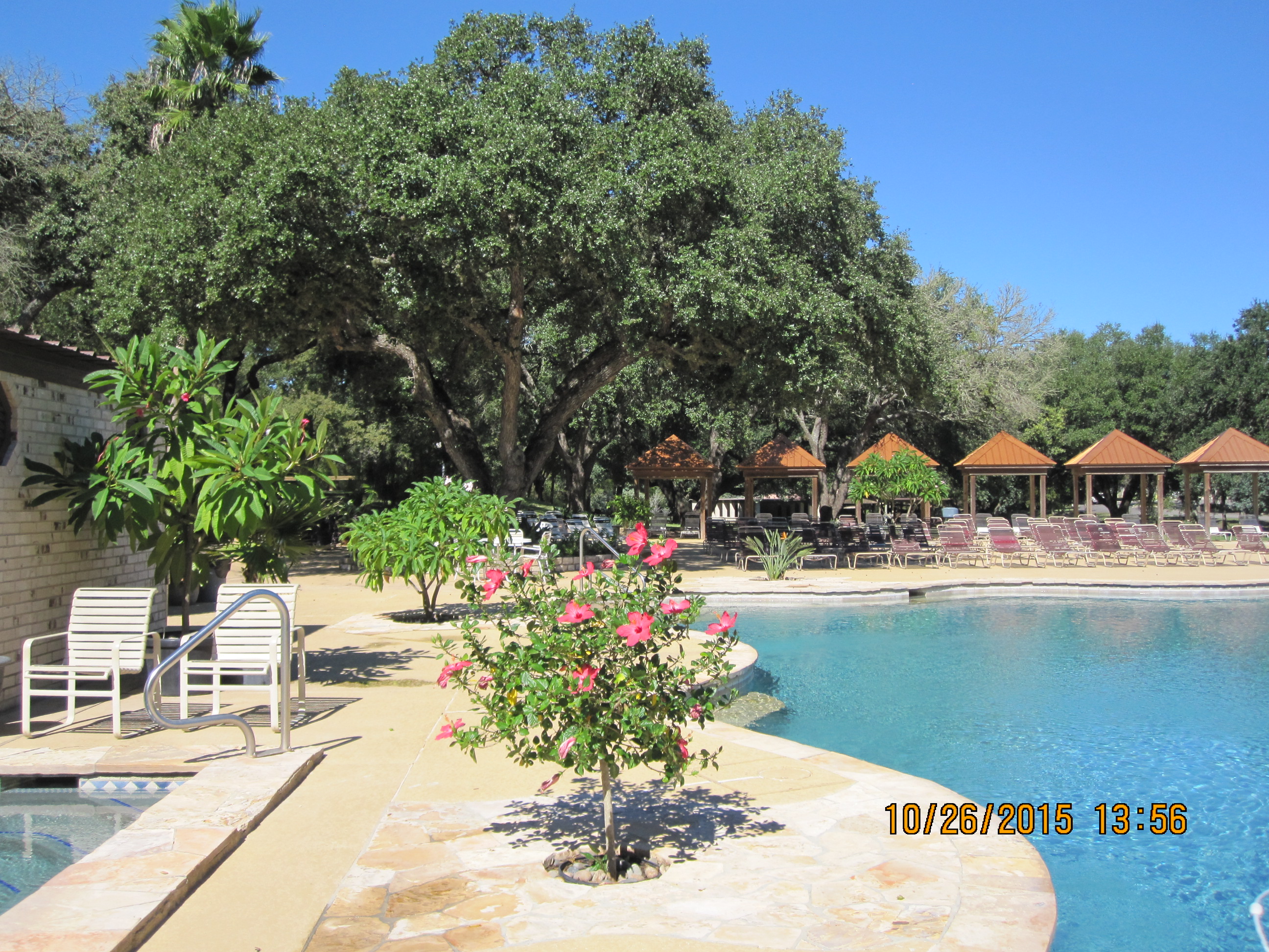Live Oak Resort photo 5