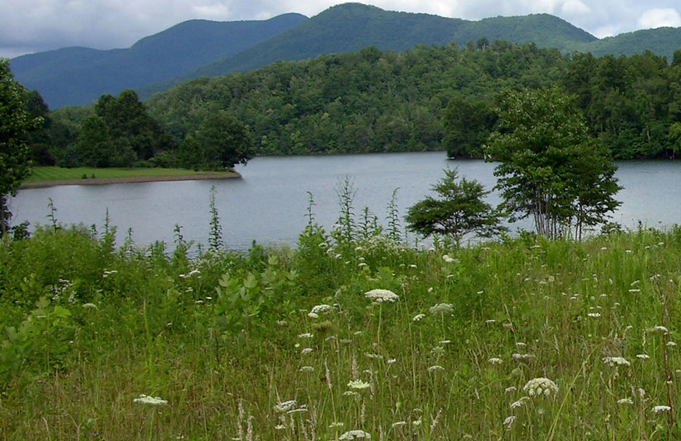 North Georgia Mountain Pickleball