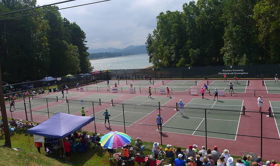 Georgia Mountain Pickleball