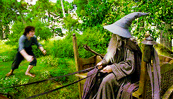 frodo hug.gif