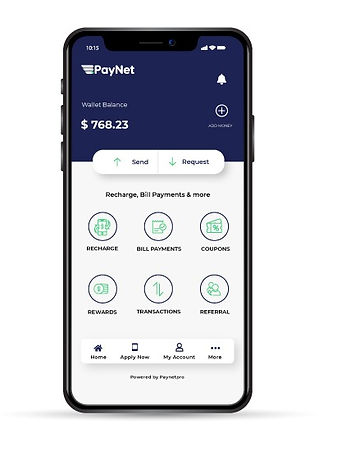 paynet banner image