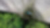 SS_004.jpg