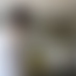 At an Albany Government Complex, Production Means More Than Publications