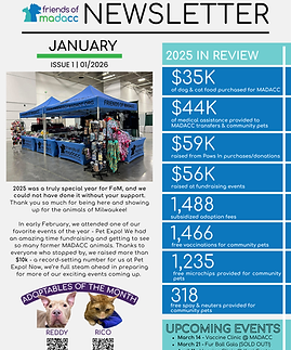 February Newsletter.png