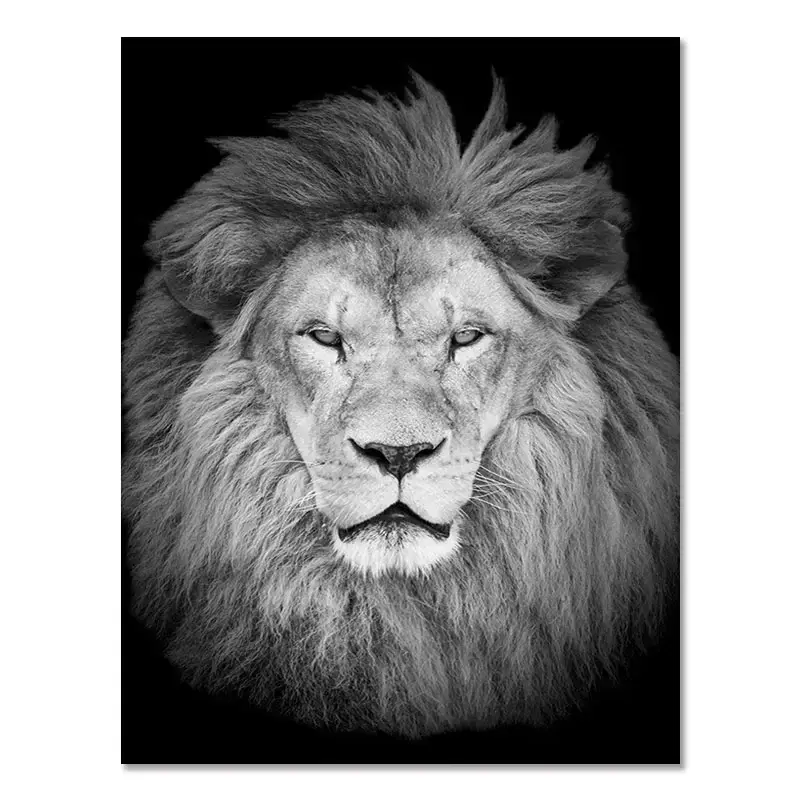 Miniatura: Animal Canvas Art: Lion, Elephant, Deer, Zebra