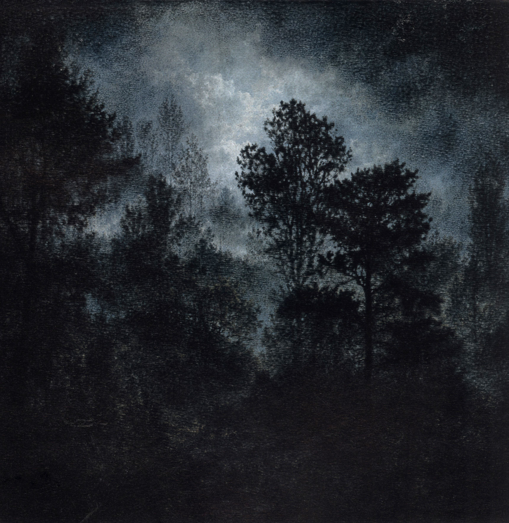 Rainforest Nocturne