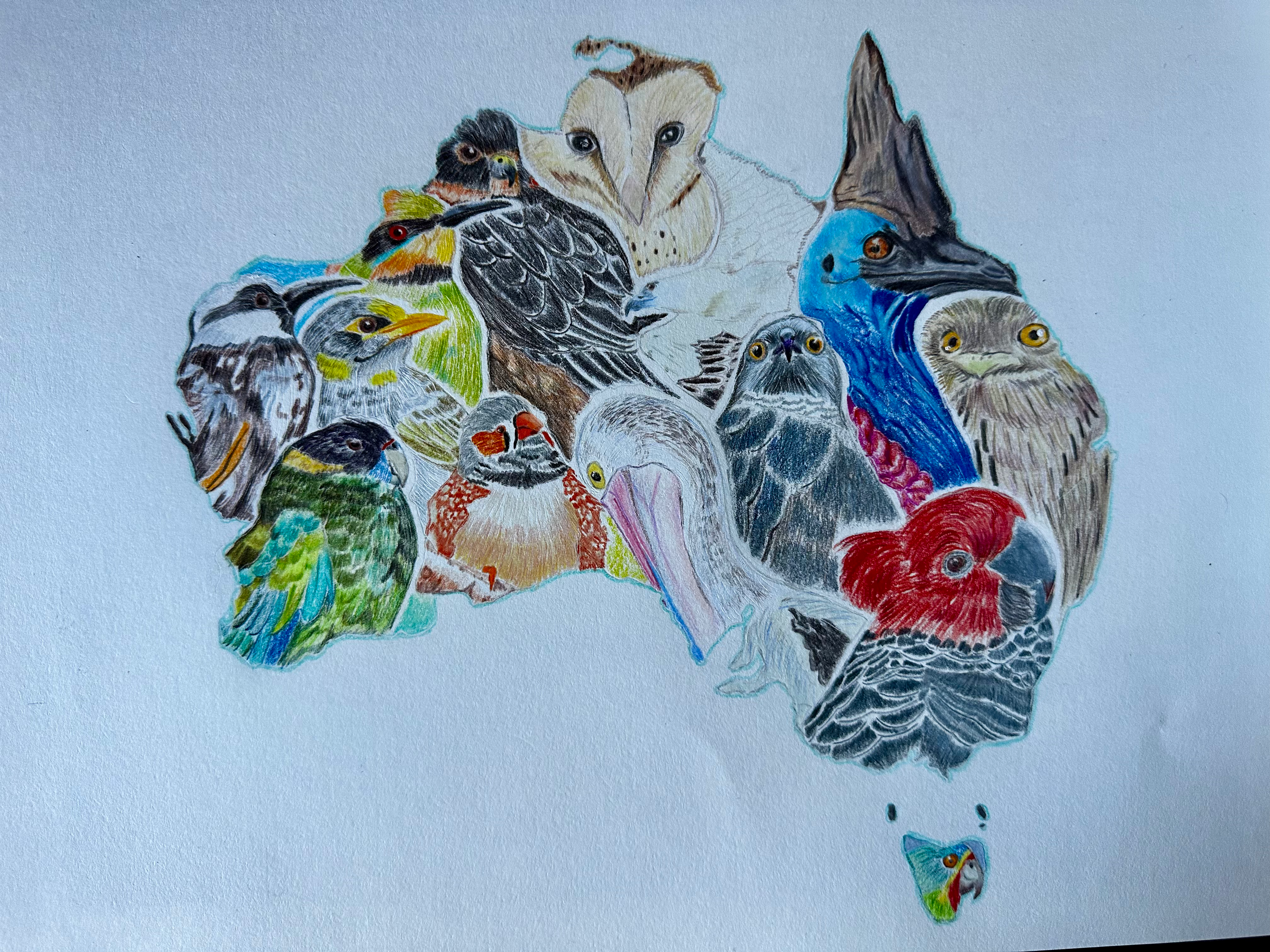 Australia in feathers