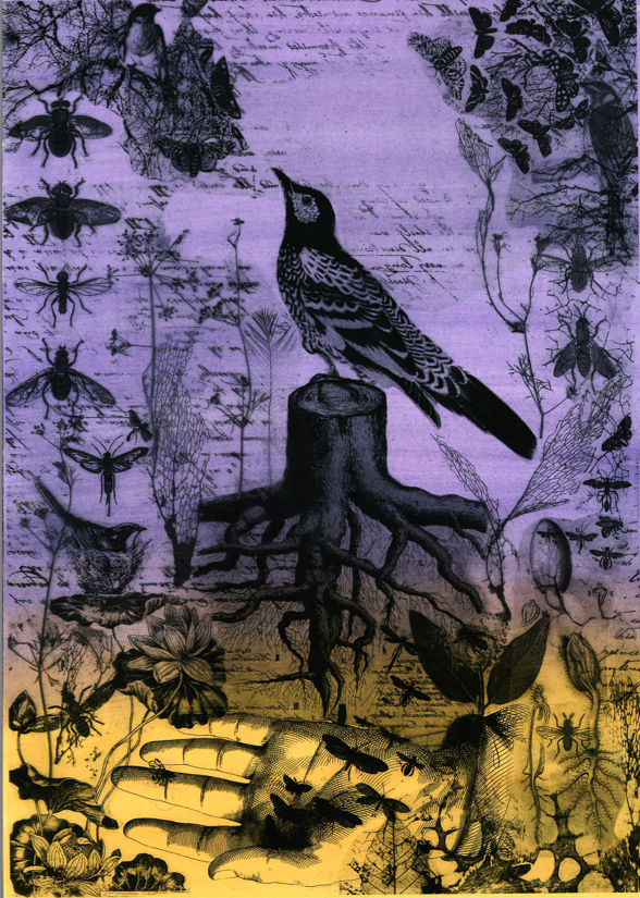 Finding Solace in the Land