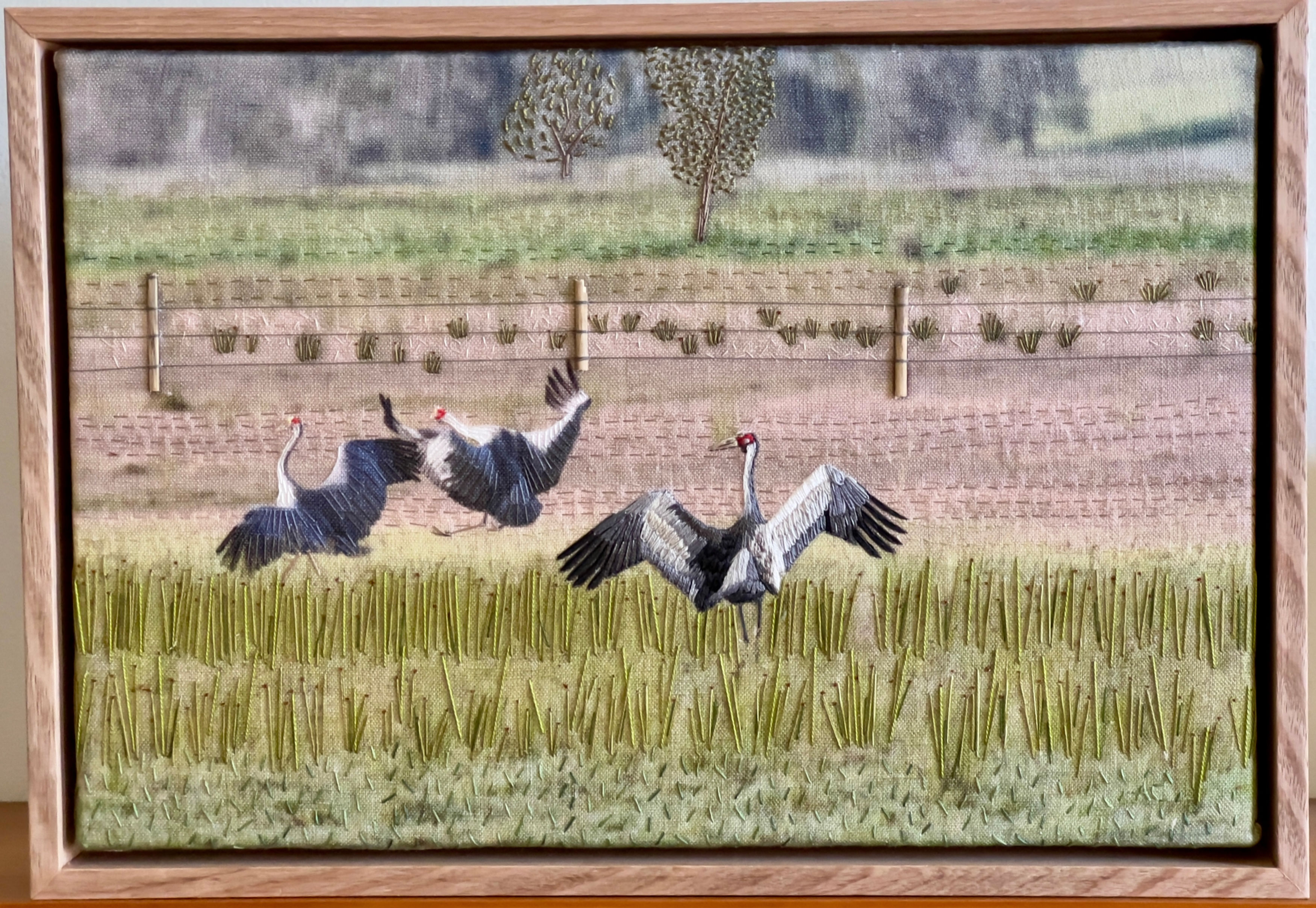 Northern Rivers Brolga Trio