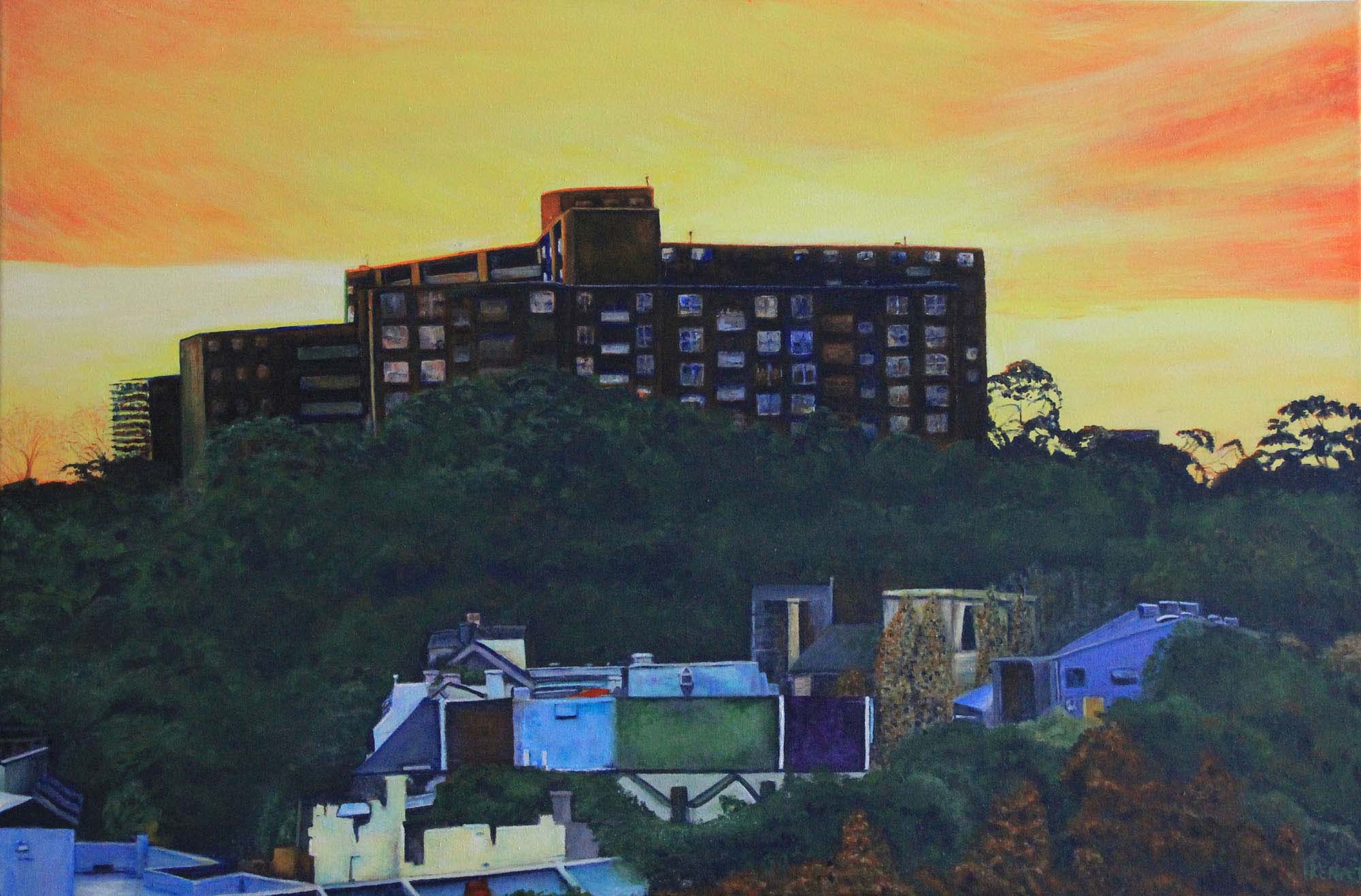 Sundown over Northcott, Surry Hills & Valleys