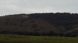 Middle Farm Sussex