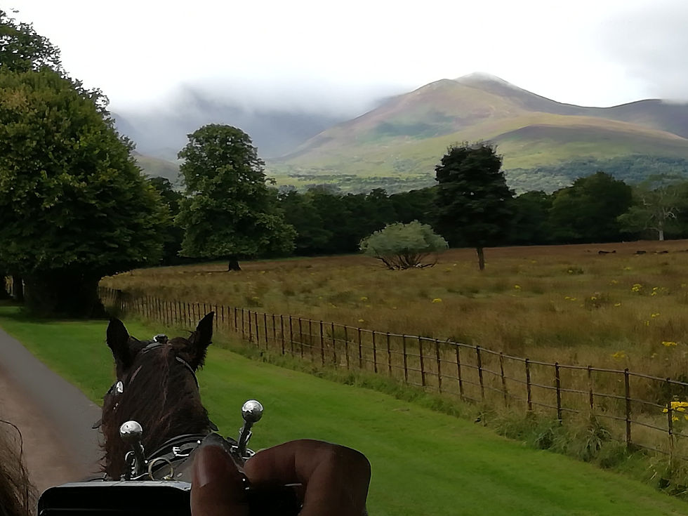Csaba Killarney