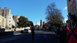 Windsor