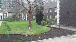 Pauper's gardens