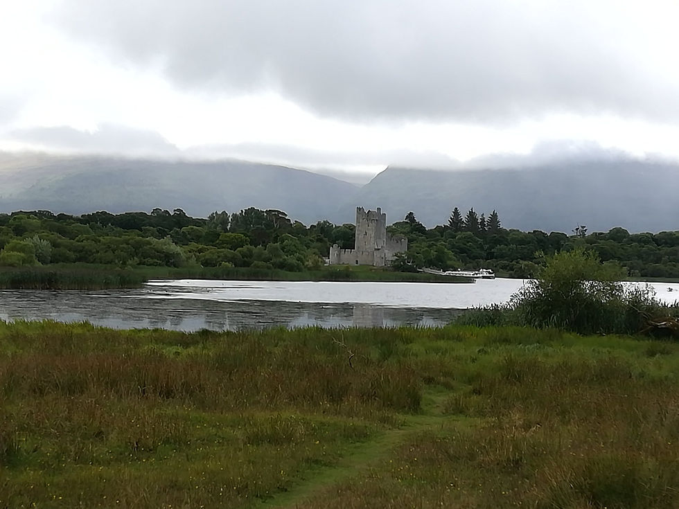 Csaba Killarney2