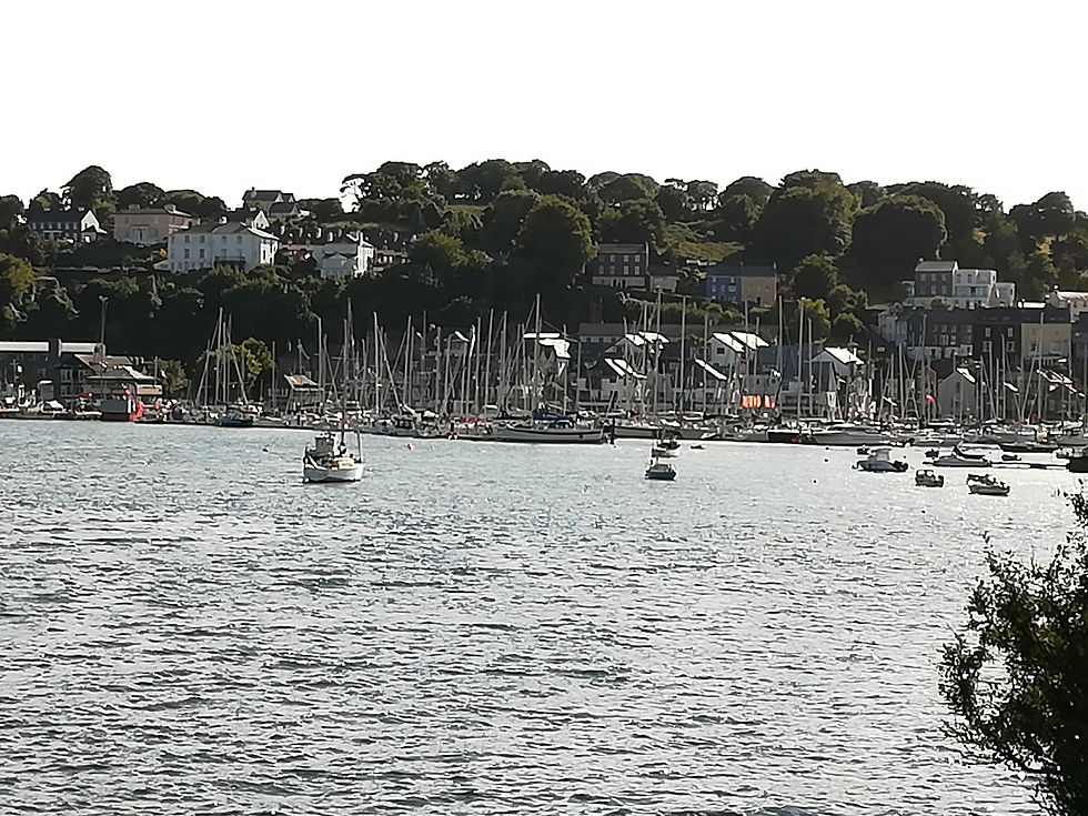 Csaba Kinsale2