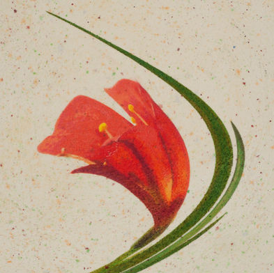 twisted clivia 5_6x6x2.jpg