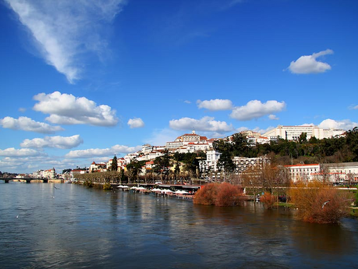 Coimbra / Bussaco