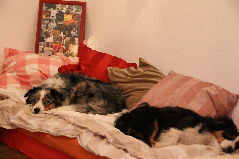 Umzug in unser neues Zuhause