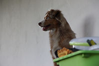 606A2EEE-B73B-4B5C-AF01-9595645C8238.jpeg