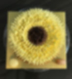 โ
Sunflower Yuzu Chiffon