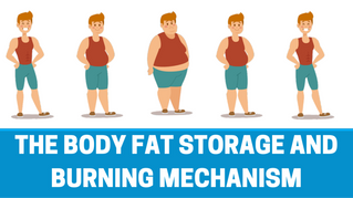The 4 major metabolic factors that will help you lose weight.