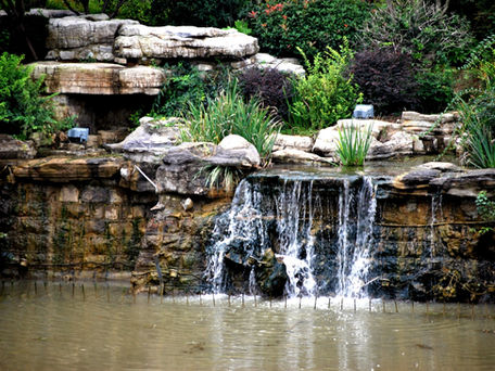 自然環境と精神的健康