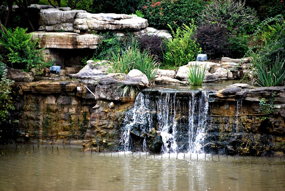 Rock Landscape Design and Installation