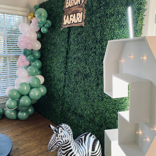 3rd Birthday Setup