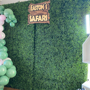 Grass Wall Setup