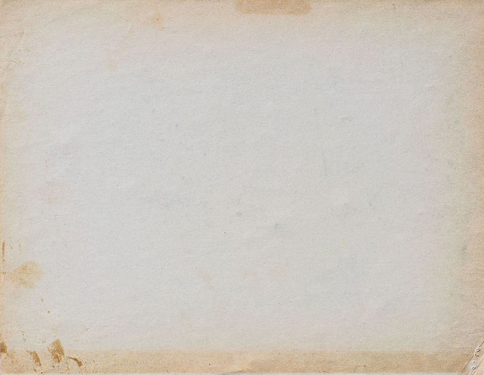 Texturelabs_Paper_151XL.jpg