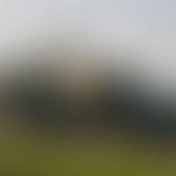 SILAGEM: ENTENDA COMO FUNCIONA ESSA PRÁTICA TÃO IMPORTANTE PARA PECUÁRIA BRASILEIRA E MUNDIAL.