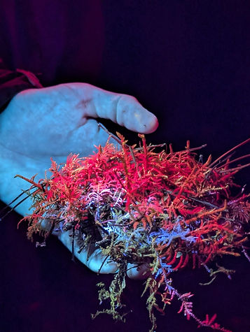 WhatsApp Image 2026-02-28 at 07.16.07 (1).jpeg