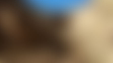 Mendoza: Hierro Indio se encamina a realizar la primera exploración minera en 15 años