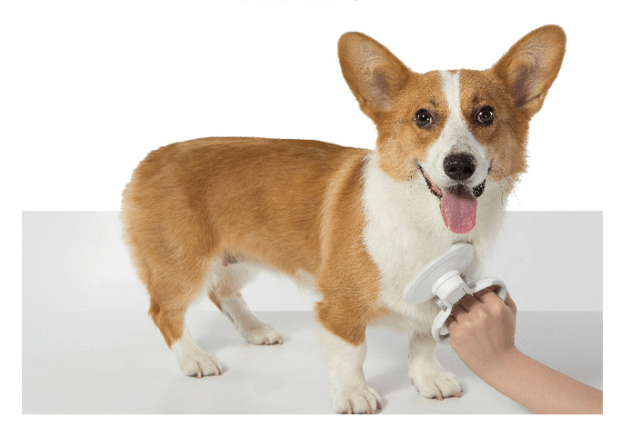 Thumbnail: Furcare Pro: The Ultimate Self-Cleaning Wire Brush For A Flawless
