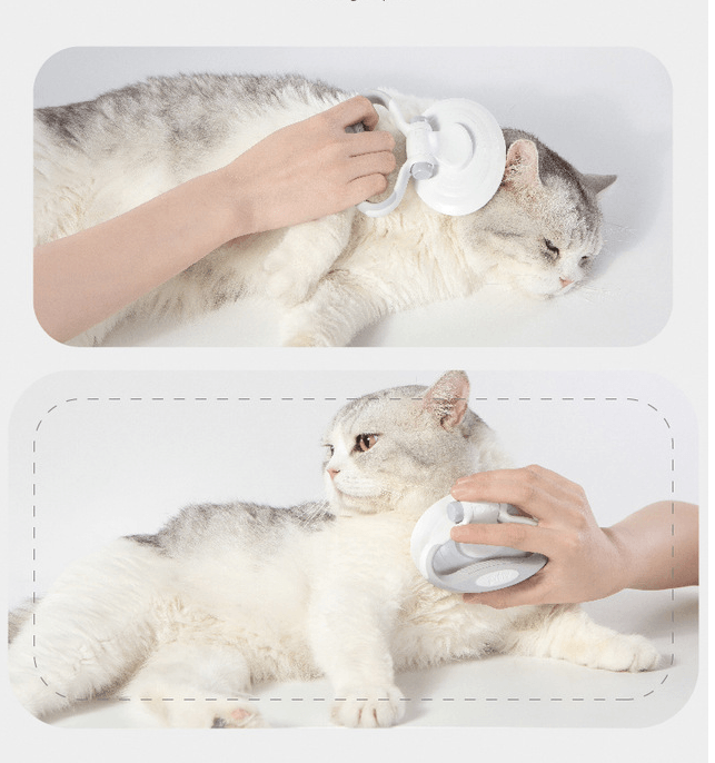 Thumbnail: Furcare Pro: The Ultimate Self-Cleaning Wire Brush For A Flawless