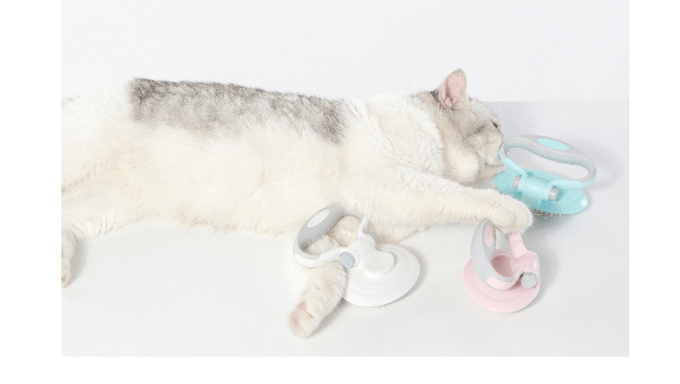 Thumbnail: Furcare Pro: The Ultimate Self-Cleaning Wire Brush For A Flawless