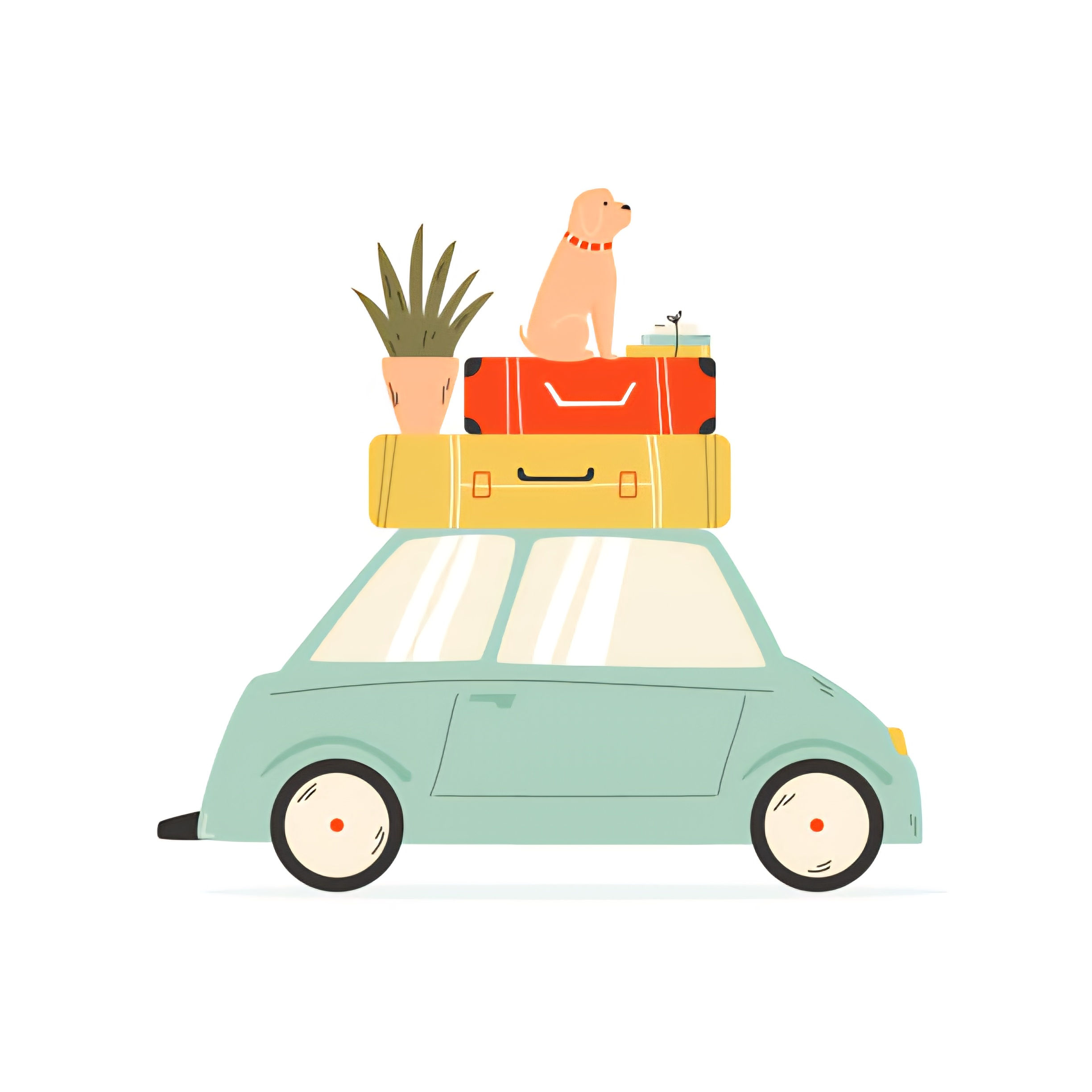 House Shifting Services