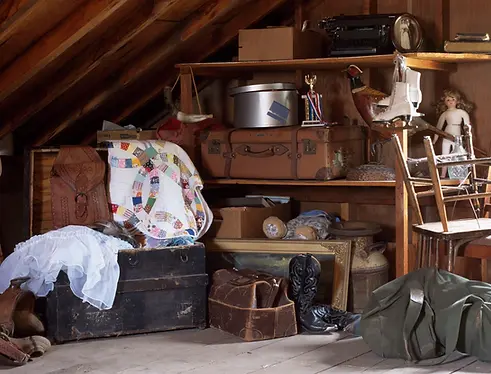 attic 2.webp