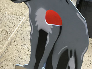 Nearly 2 Foot Tall Field Targets