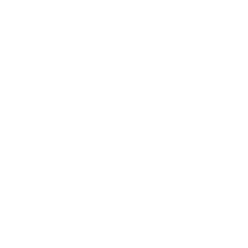 skills (1).png