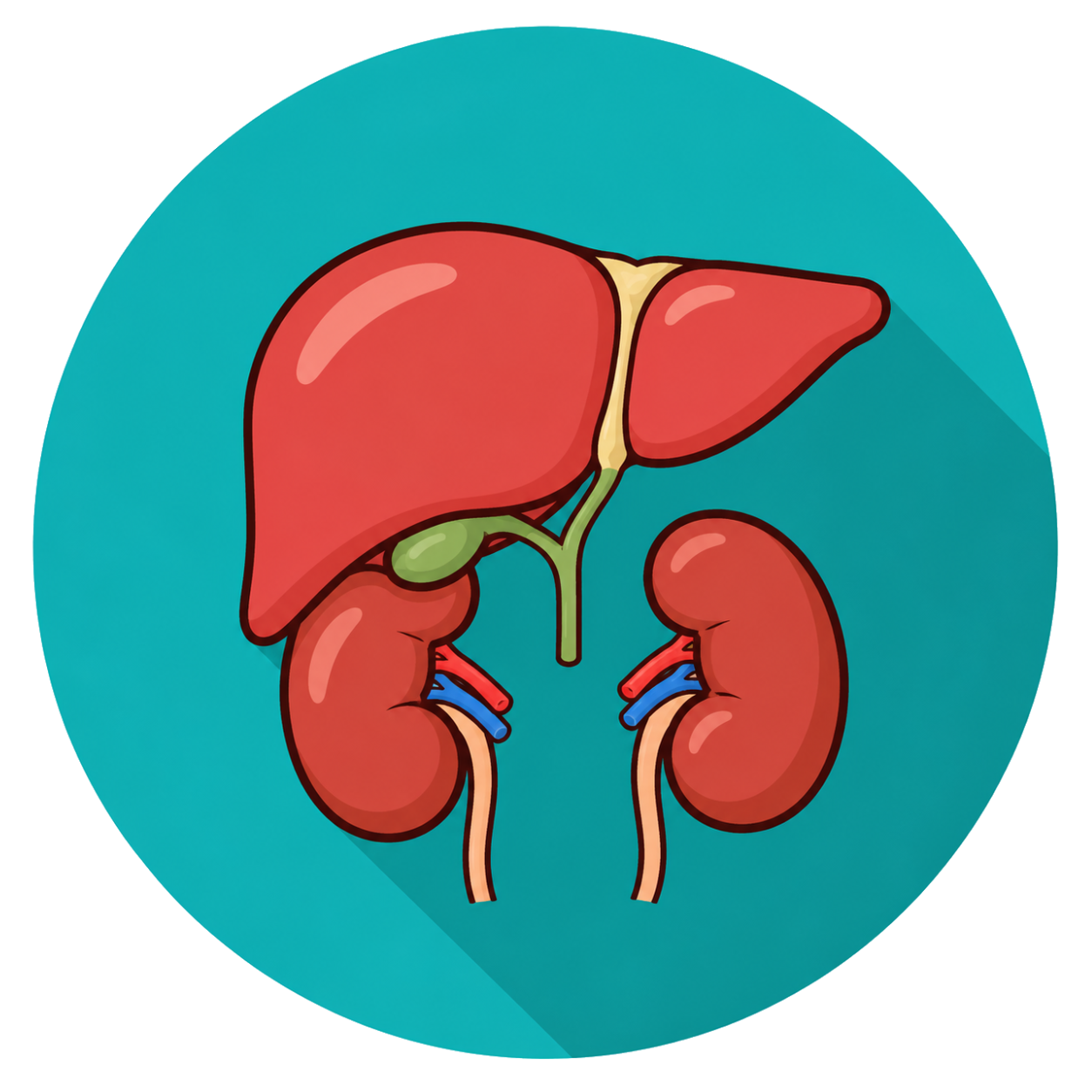 inflammation (1).png