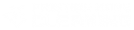pristine home cleaning