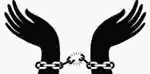 WhatsApp Image 2017-12-11 at 1.47.45 PM