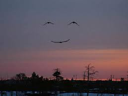smiling sky