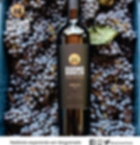 nebbiolo copy.jpeg