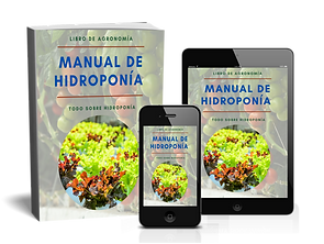 Lead Magnet COVER DE HIDROPONIA .png libro 3 d.png