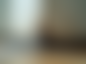 Mold Inspections and Testing for a Healthier Home