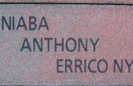 Niaba Anthony Errico NY